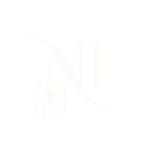 N1 System