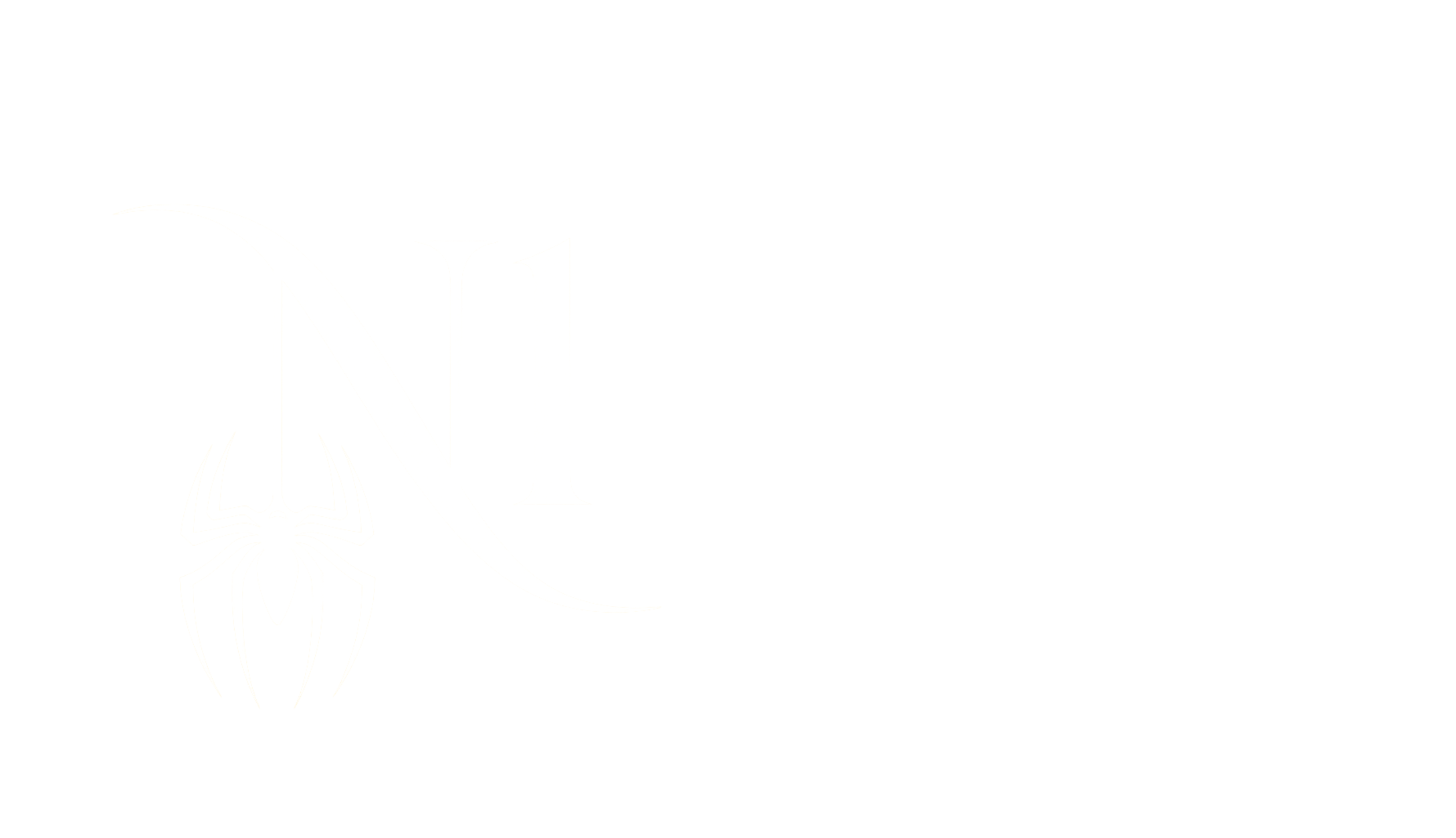 N1 System