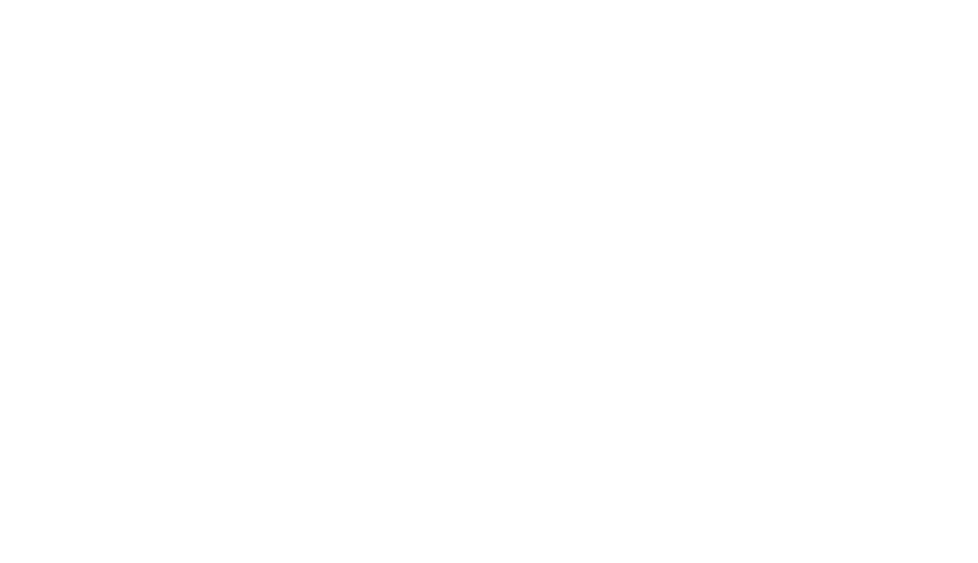 N1 System